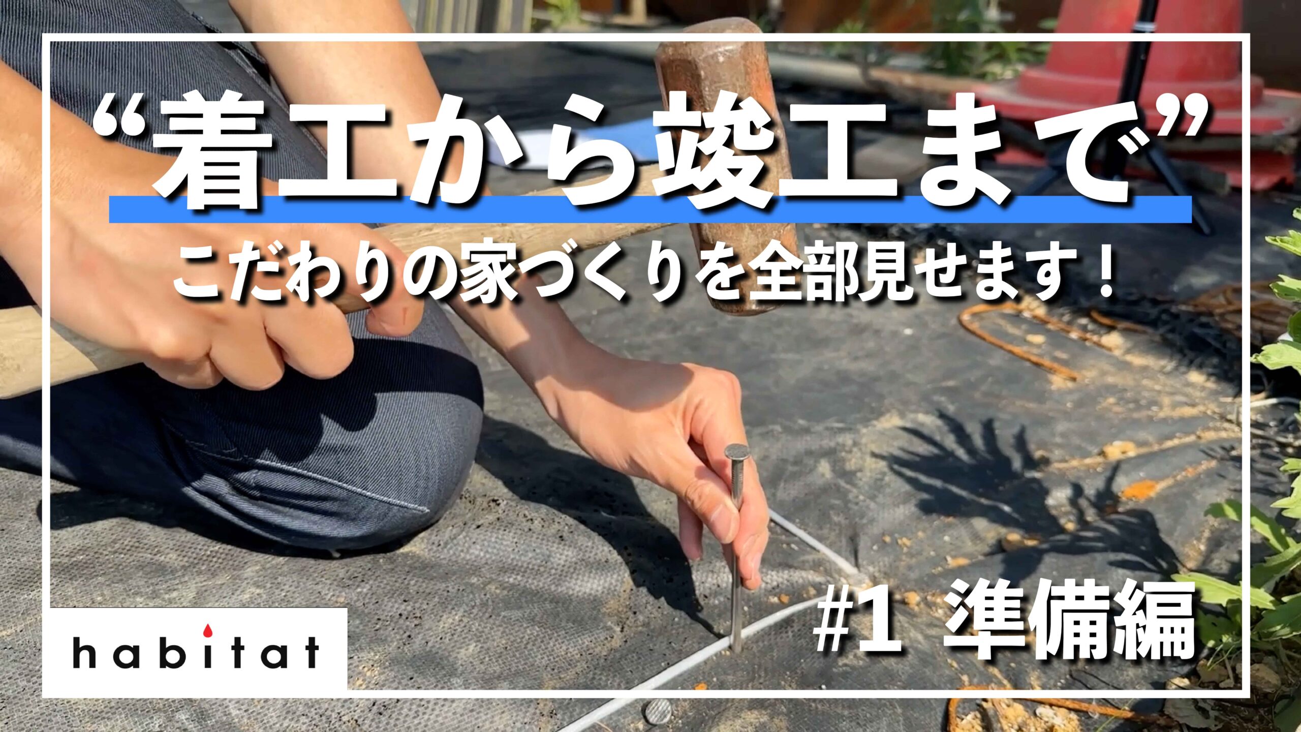 -+-+ハビの家　YouTube動画公開のお知らせ+-+-