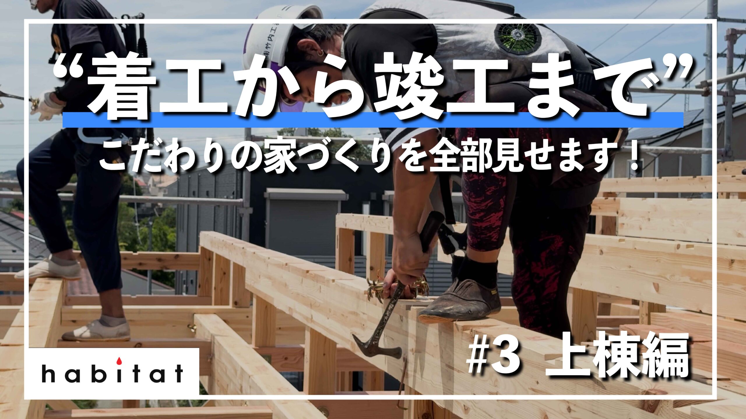 -+-+ハビの家　YouTube動画公開のお知らせ+-+-